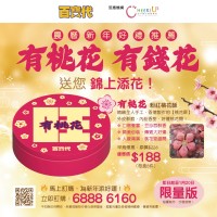 桃花酥